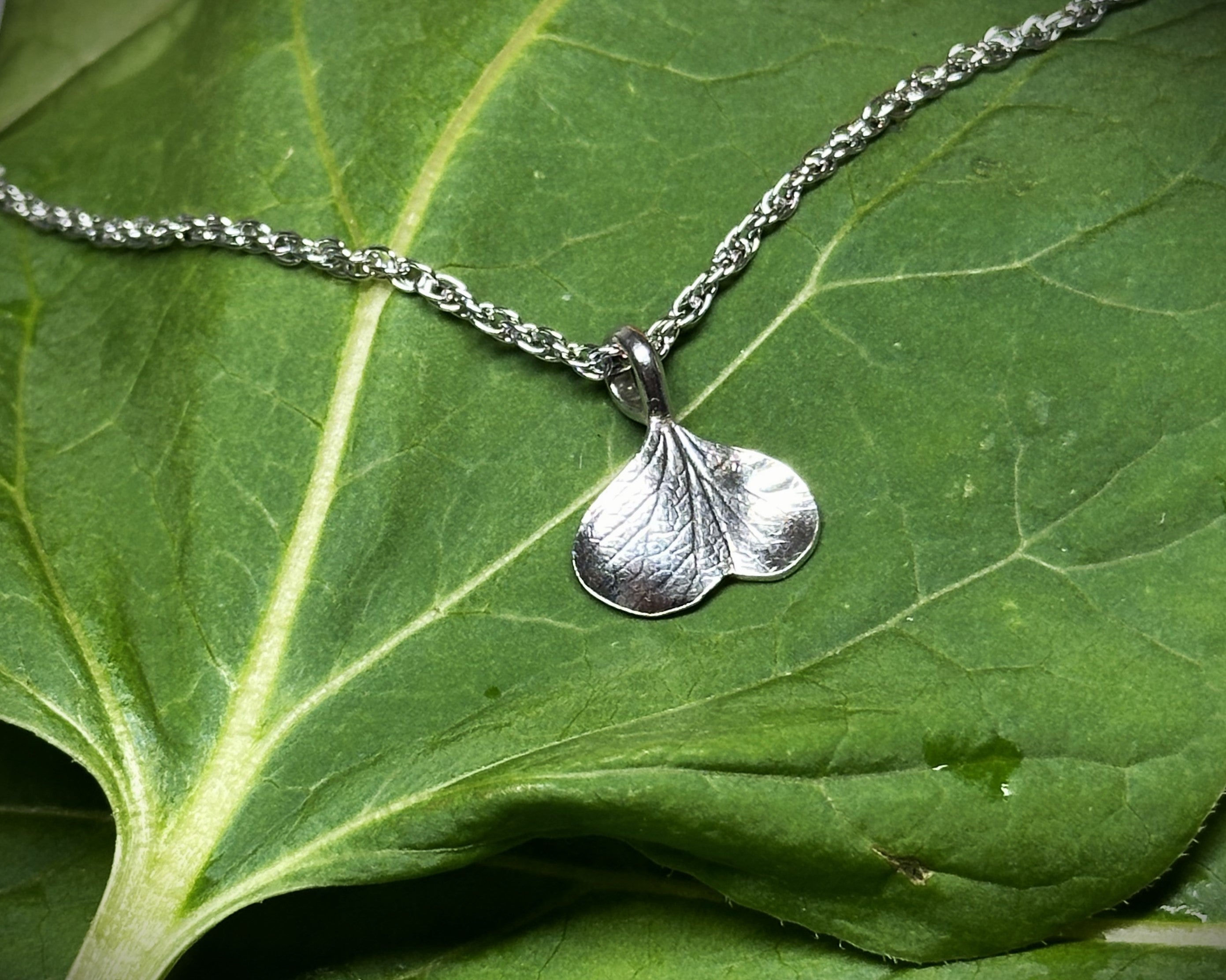 2 Empreinte végétale