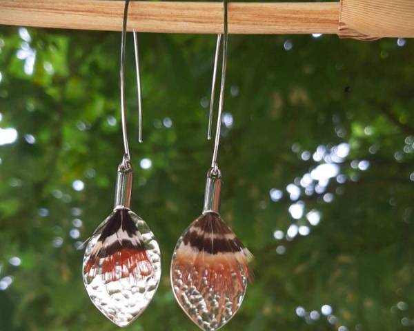 Boucles d'oreilles plume de faisan